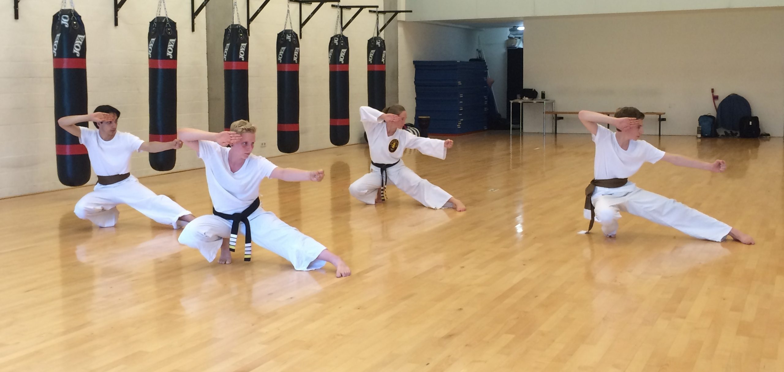 lage kung fu standen